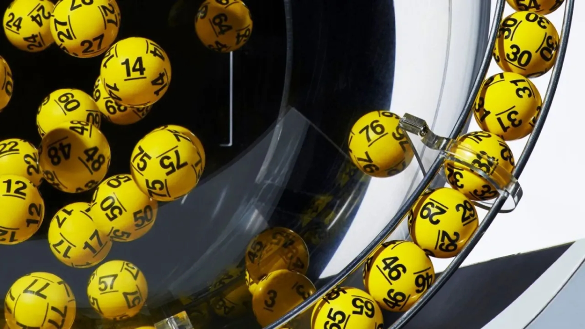 Ile zarabia właściciel Lotto? Zaskakujące fakty o dochodach Totalizatora